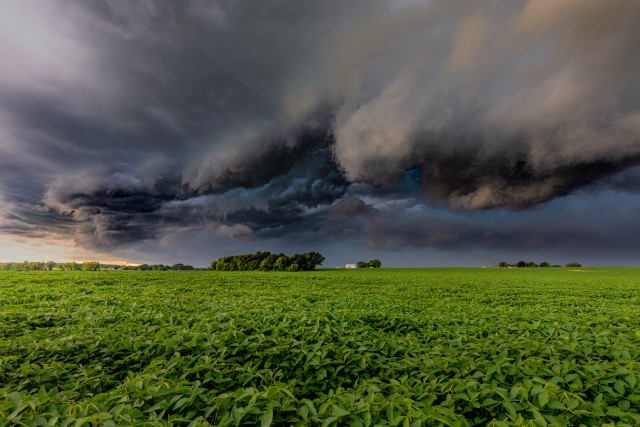 <span id="hs_cos_wrapper_name" class="hs_cos_wrapper hs_cos_wrapper_meta_field hs_cos_wrapper_type_text" style="" data-hs-cos-general-type="meta_field" data-hs-cos-type="text" >Thunderstorms Cause Deaths, Power Outages for 600K In South, East Coast</span>